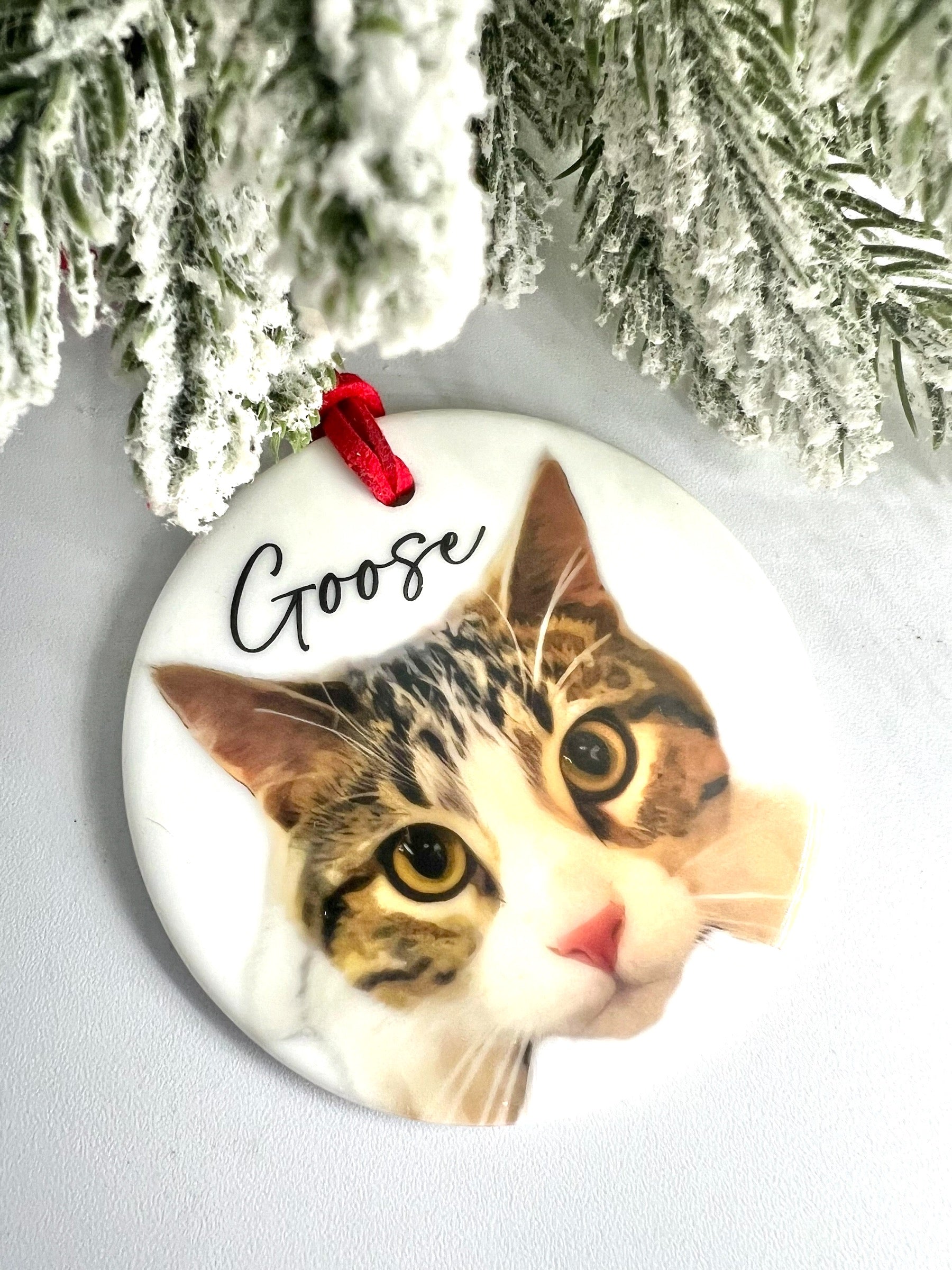 2025 Personalized Pet Ornament - Ceramic