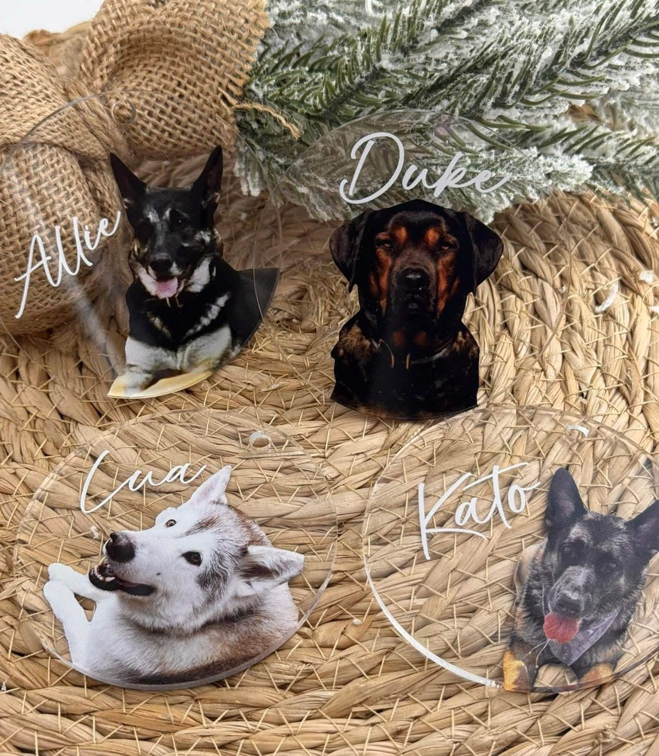 FGSR Modern Clear Acrylic Pet Photo Ornament