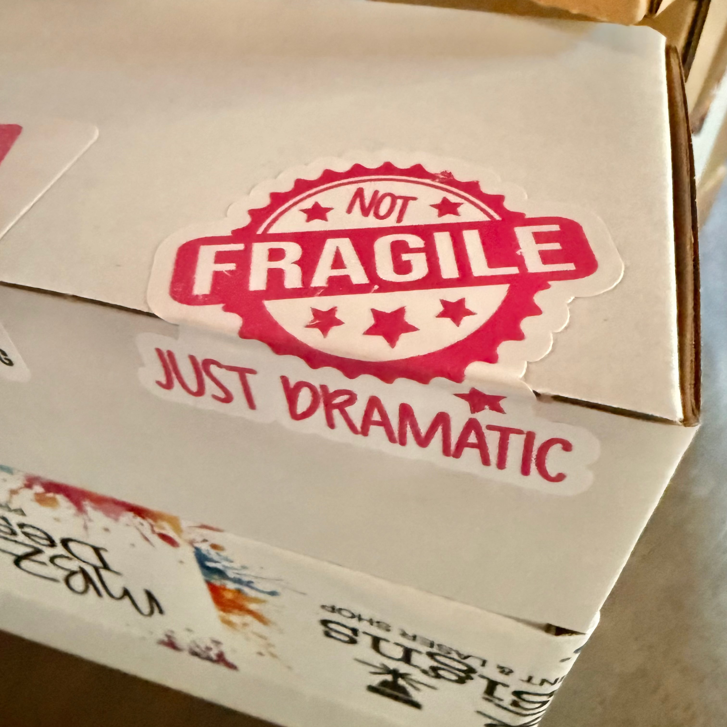 Small Business Packaging Stickers – Funny Thank You Stickers for Orders (10 sheets/pack)