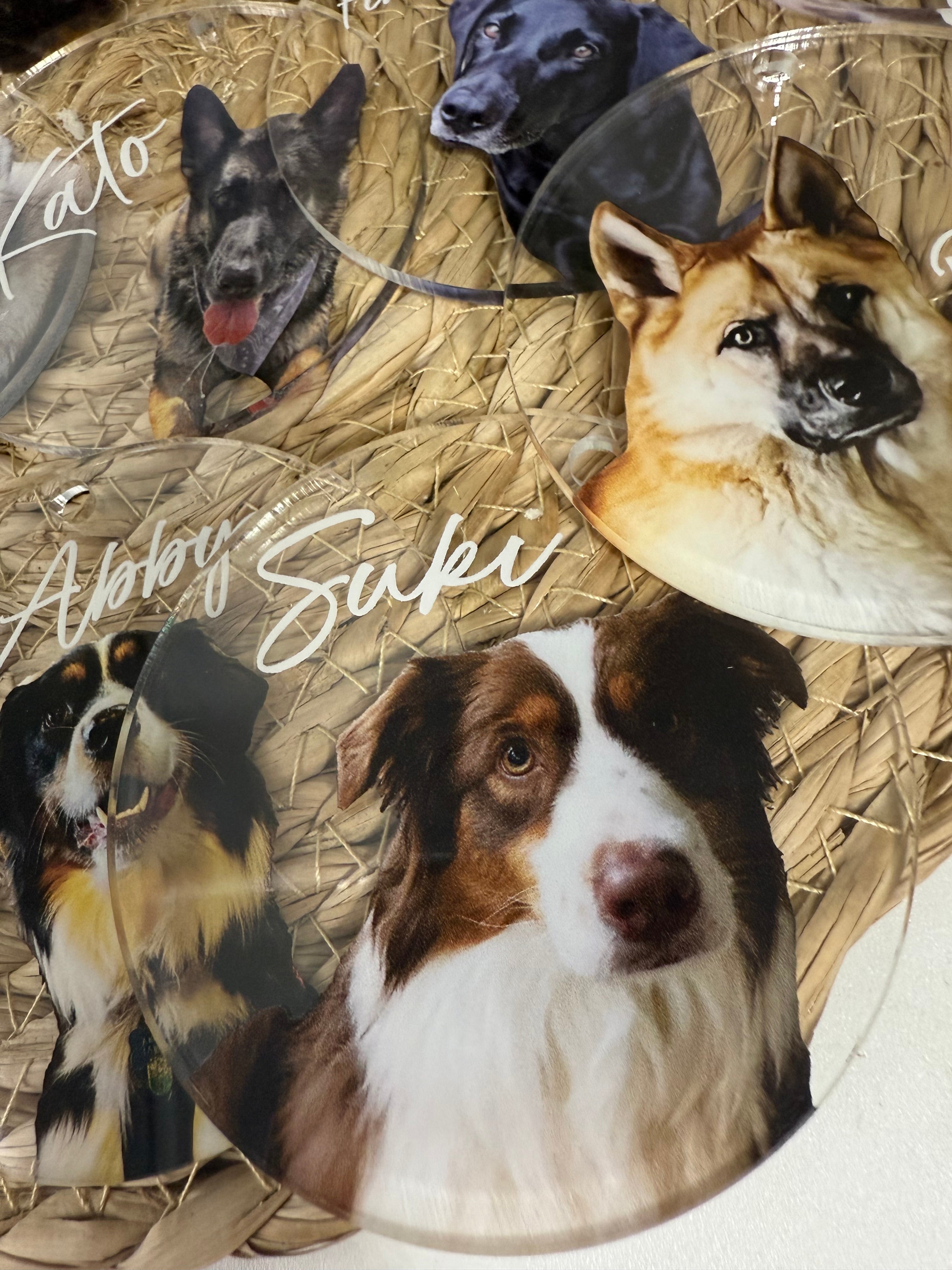 Modern Clear Acrylic Pet Photo Ornament