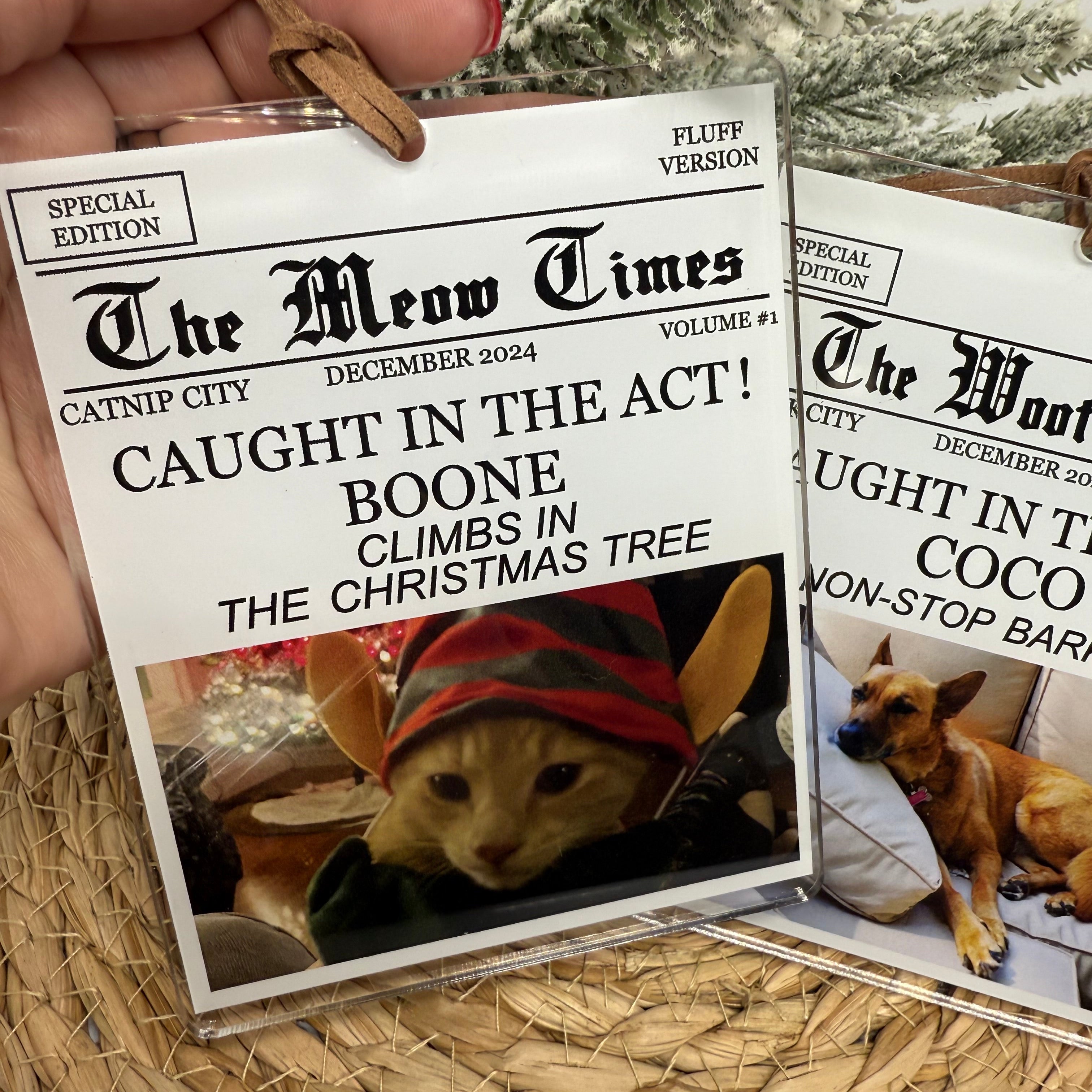 FGSR The Meow Times Holiday Ornament