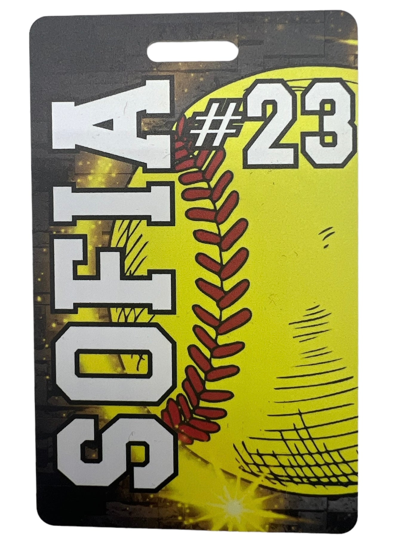Sports Themed Bag Tag, Football, Baseball, Soccer, Hockey, Softball, BackPack Tag, Custom