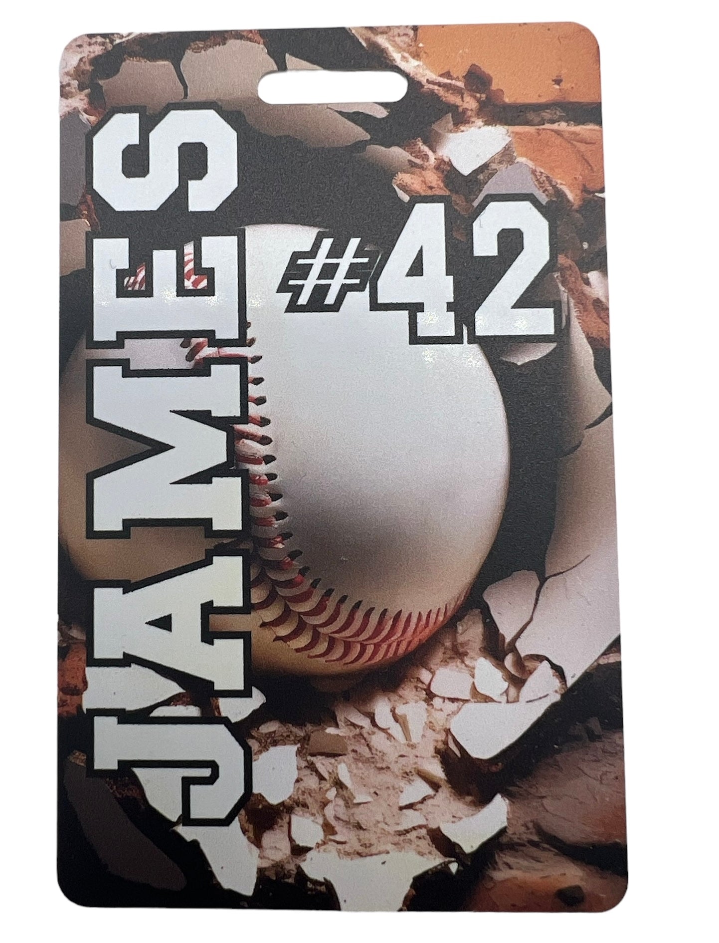 Sports Themed Bag Tag, Football, Baseball, Soccer, Hockey, Softball, BackPack Tag, Custom