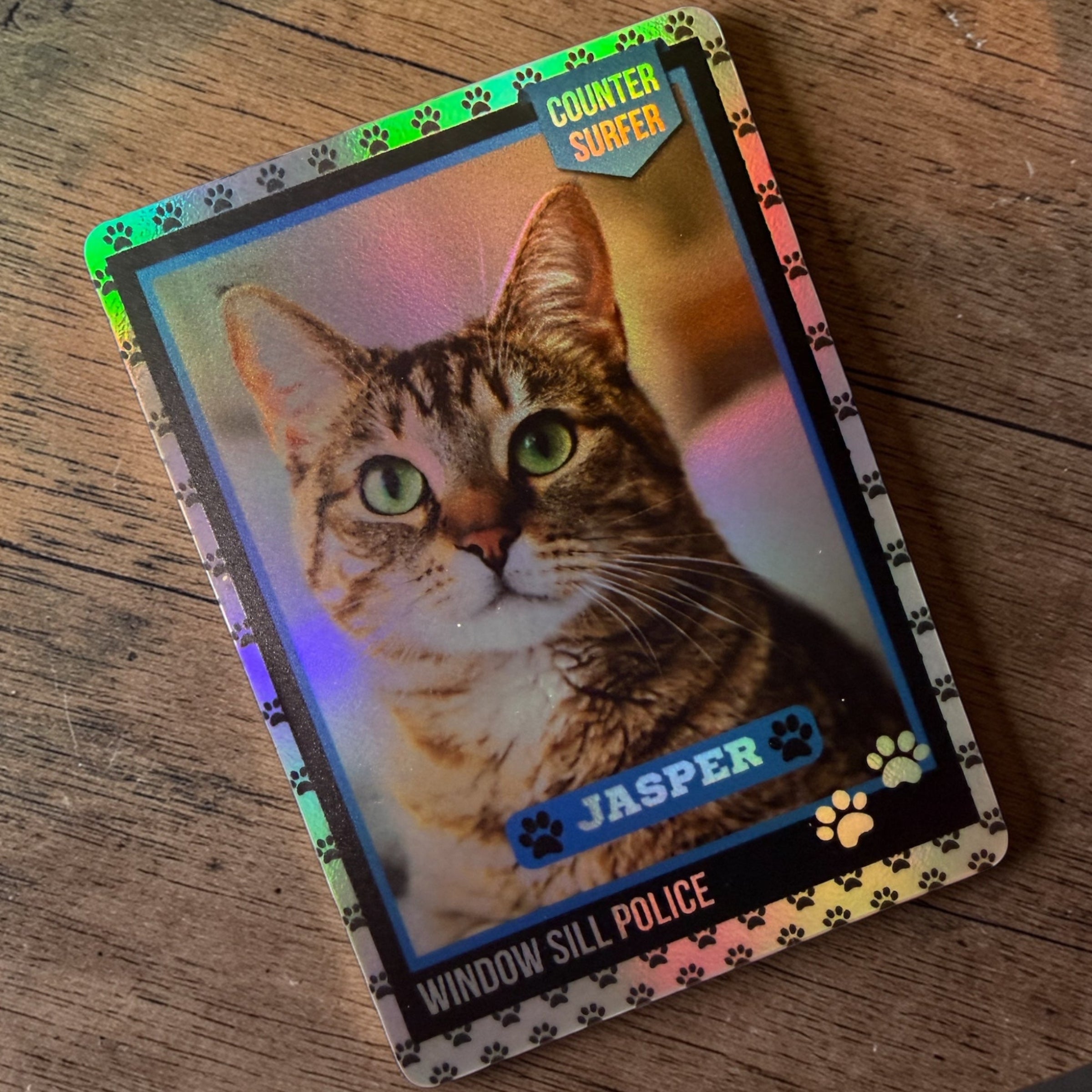 holographic trading cards 1/5 ULTRA RARE "Tiny Pieces" Rainbow Embossed Card Slab Holographic Trading Cards Pet