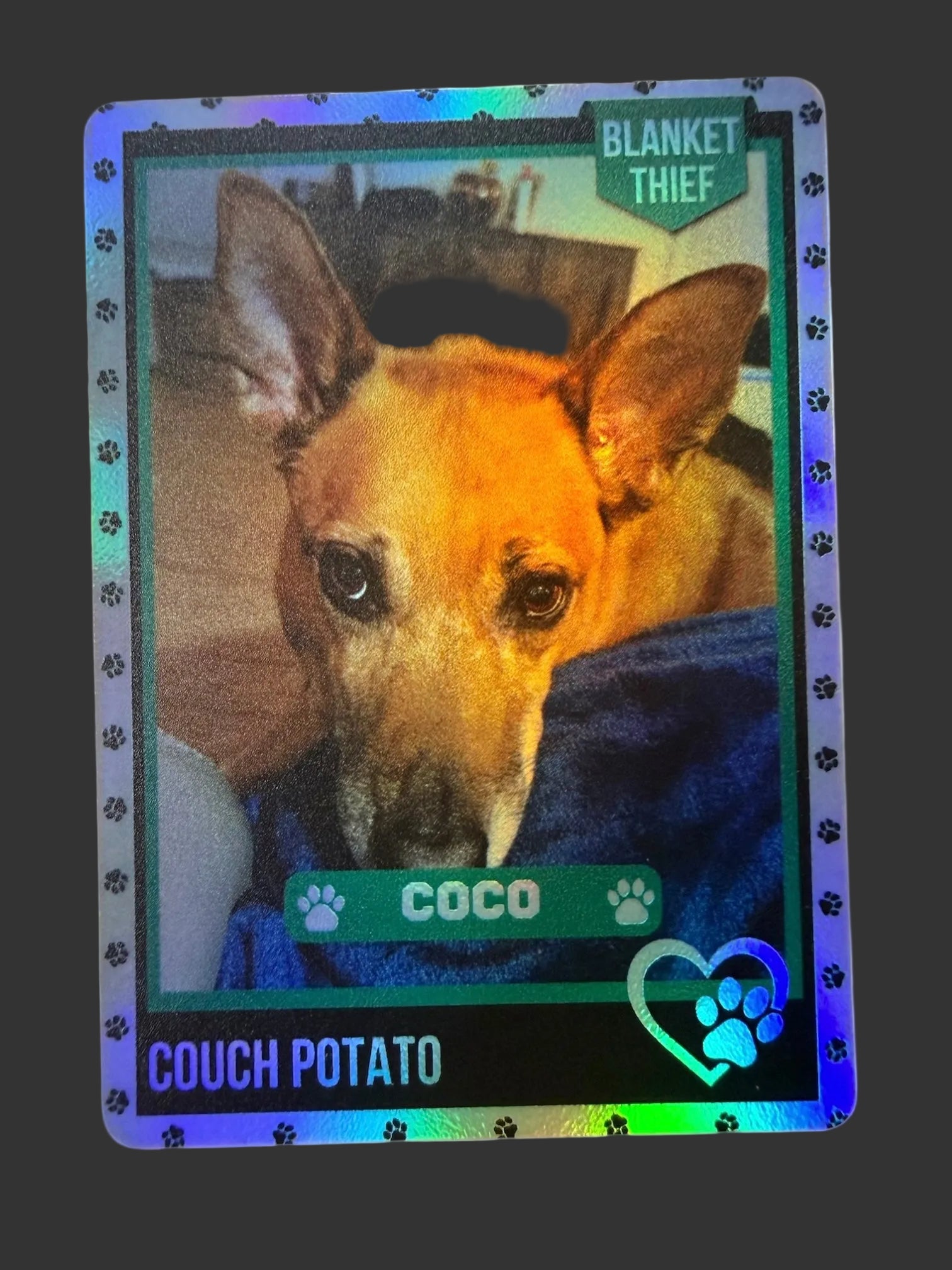 Dog card with a dog named Coco on a white background