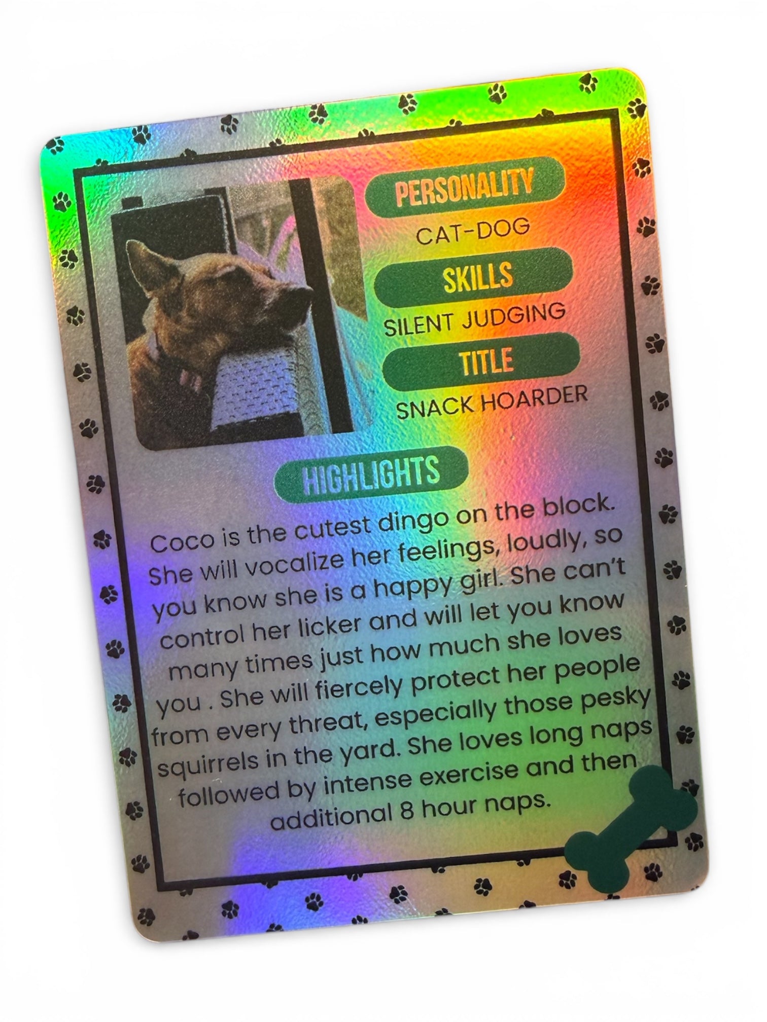 Holographic Trading Cards – Pet Edition (Dogs & Cats)
