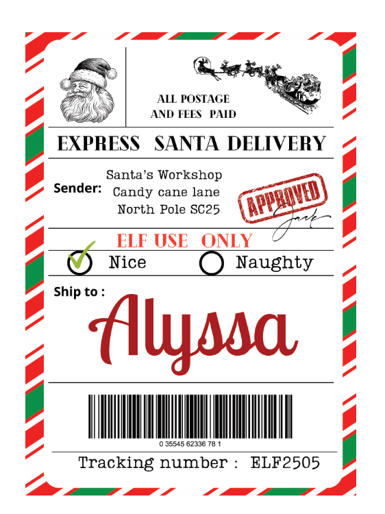 Personalized Christmas Shipping Label Tag Set