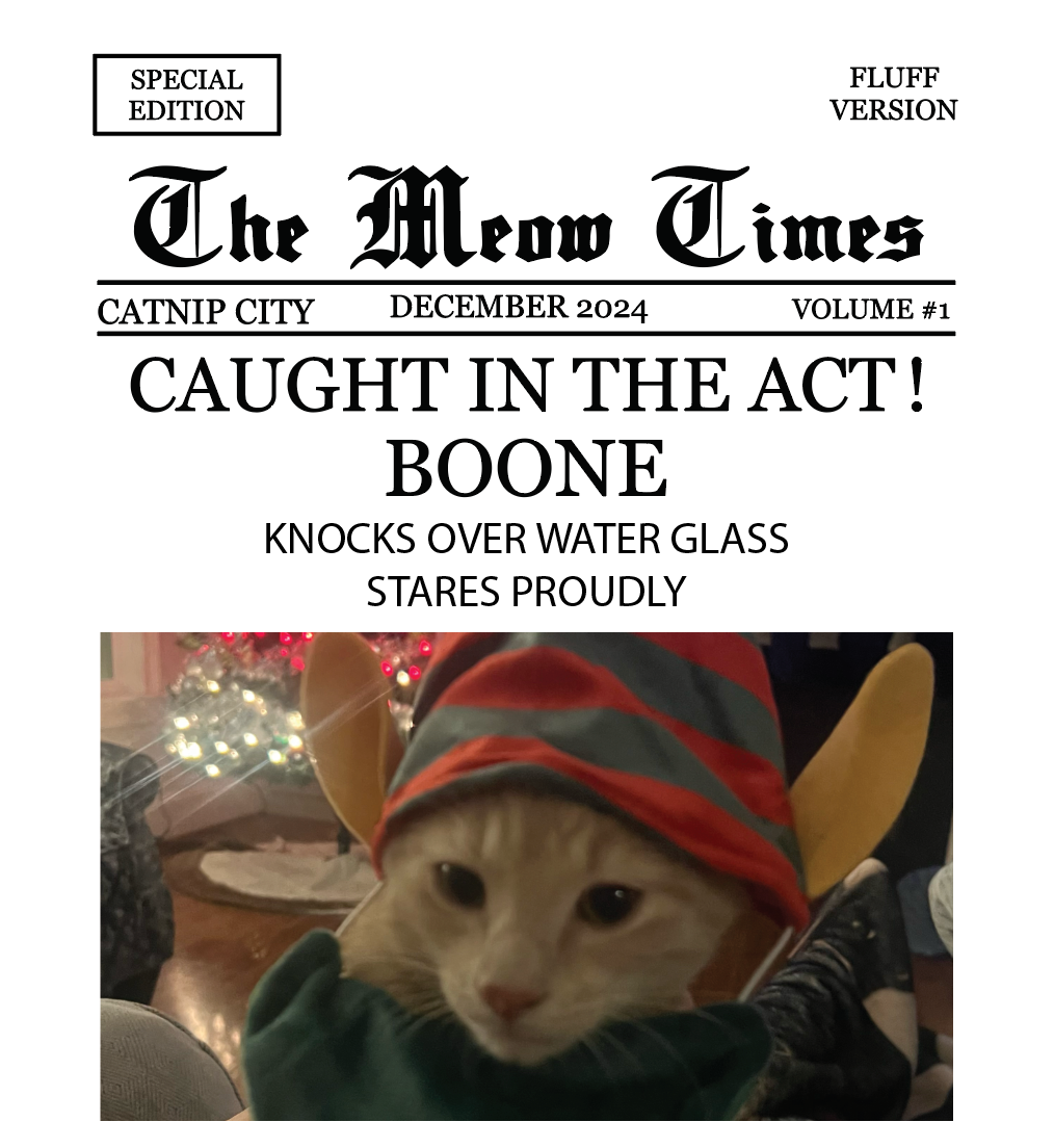 FGSR The Meow Times Holiday Ornament