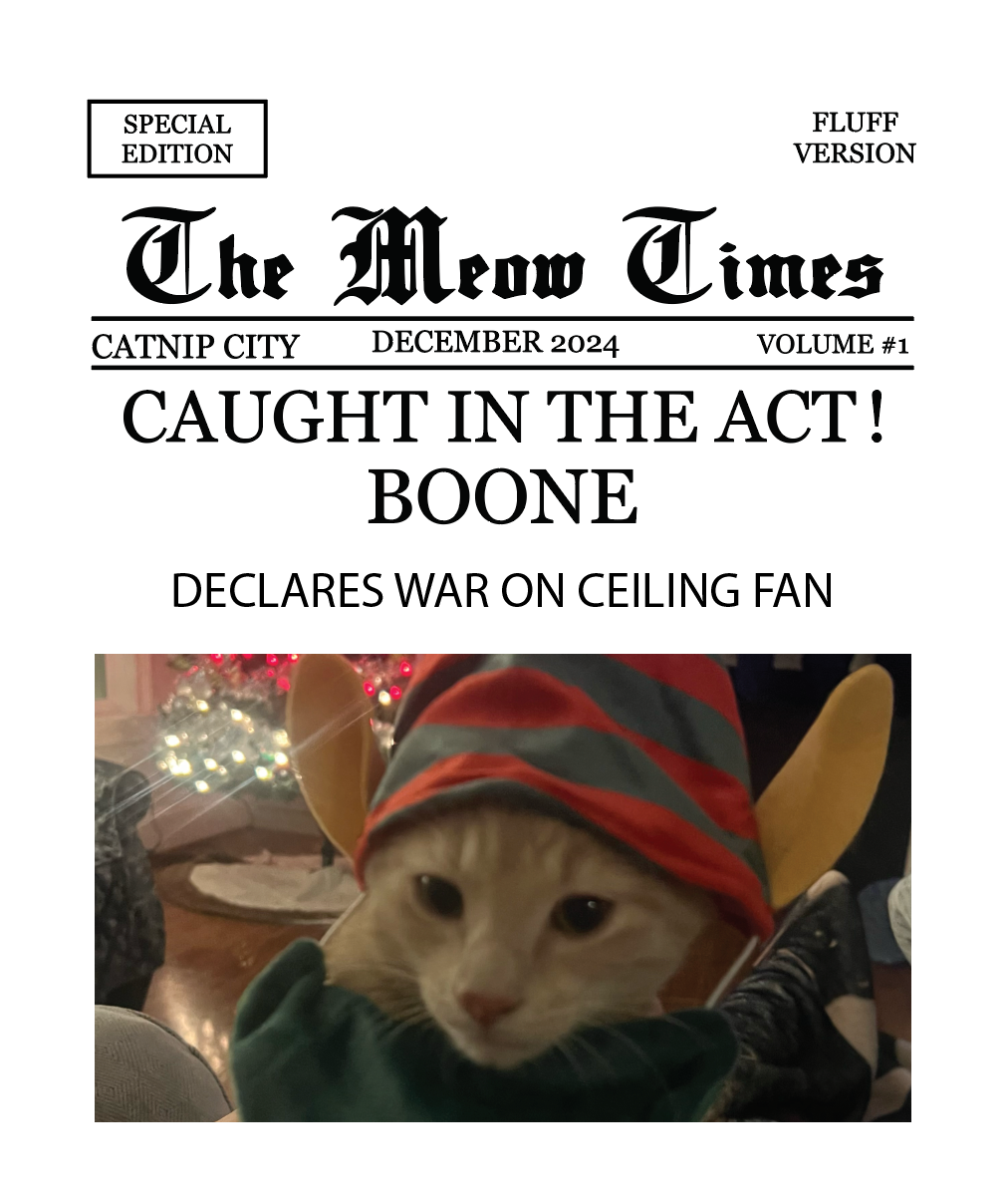 FGSR The Meow Times Holiday Ornament